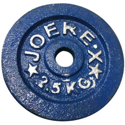 Picture of Dumbbell Plate 2.5Kg - Blue - 2Pcs - Sports Alpha Blue