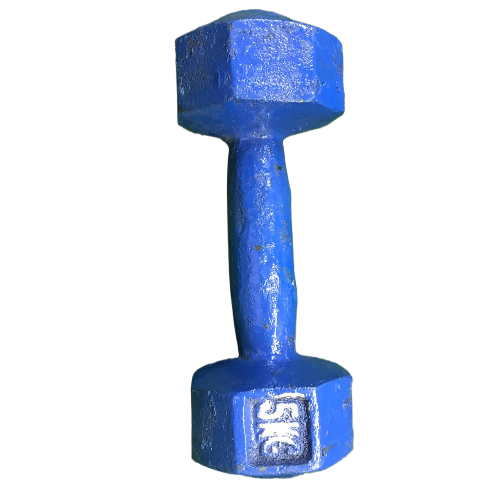 Picture of 5KG Blue Dumbbell - 1Pcs - Blue - Sports Alpha Blue