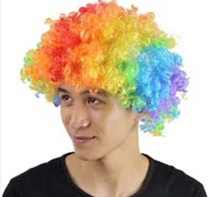 Picture of Adult Multi Coloured Rainbow Circus Curly Afro Clown Wig Halloween Fancy Dress
