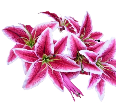 Picture of Bunch of Artificial Stargazer Lilies, Quality Faux Silk Lily Flowers - Multicolor