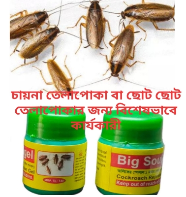 Picture of Big Soulgel for mini cockroach ছোট তেলাপোকা মারার জন্য
