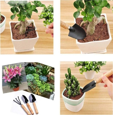 Picture of 3Pcs Mini Garden Tool Set Wooden Handle Small Sharp Shovel Rake House Pot Plants Gift - Black