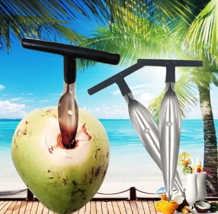 Picture of Stainless Steel Coconut Opener Tool, Coconut Driller, Travel Coconut Opener Machine, Coconut Opener Coconut Water Opener - Silver