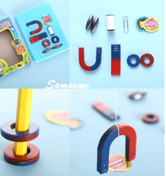 Picture of 10 PCS Physics Science Magnets KIT for Education Science Experiment Tools with Magnet Powder Including BAR/Ring/Horseshoe Magnetic toy early learning toy - Multicolor