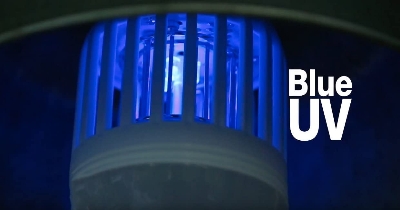 Picture of Zapp Light LED Bulb Mosquito Killer Flying Insect, Moth & Wasp Bug Zap lights Eco Mosquito Killer - White