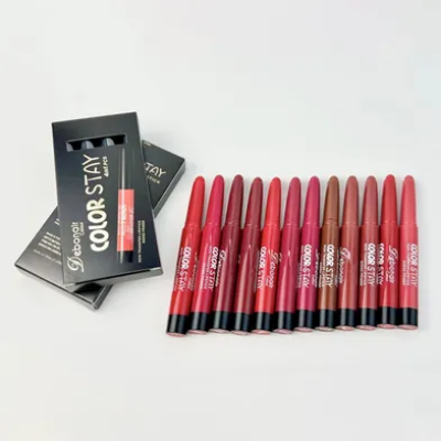 Picture of Premium Election Campaign Punjabi