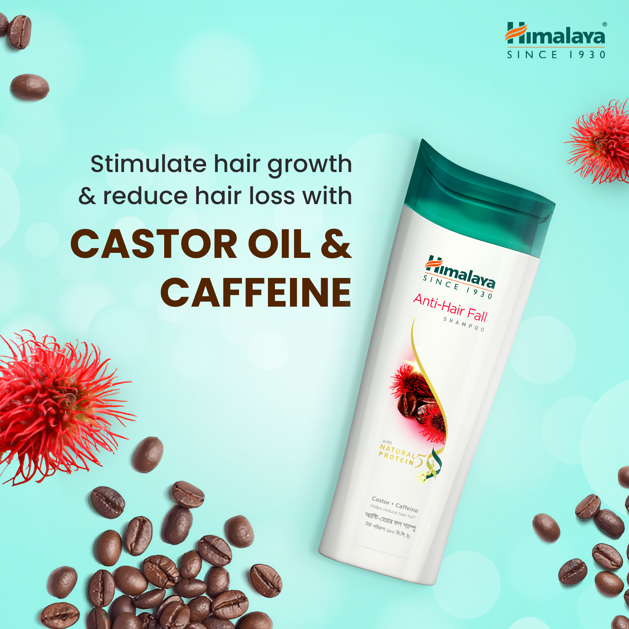 Picture of Himalaya Anti Hair Fall Shampoo with Castor & Caffeine 375ml 