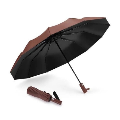 Picture of BMW Rain Defender Umbrella 12 Shik | MNK SHOP (Green)