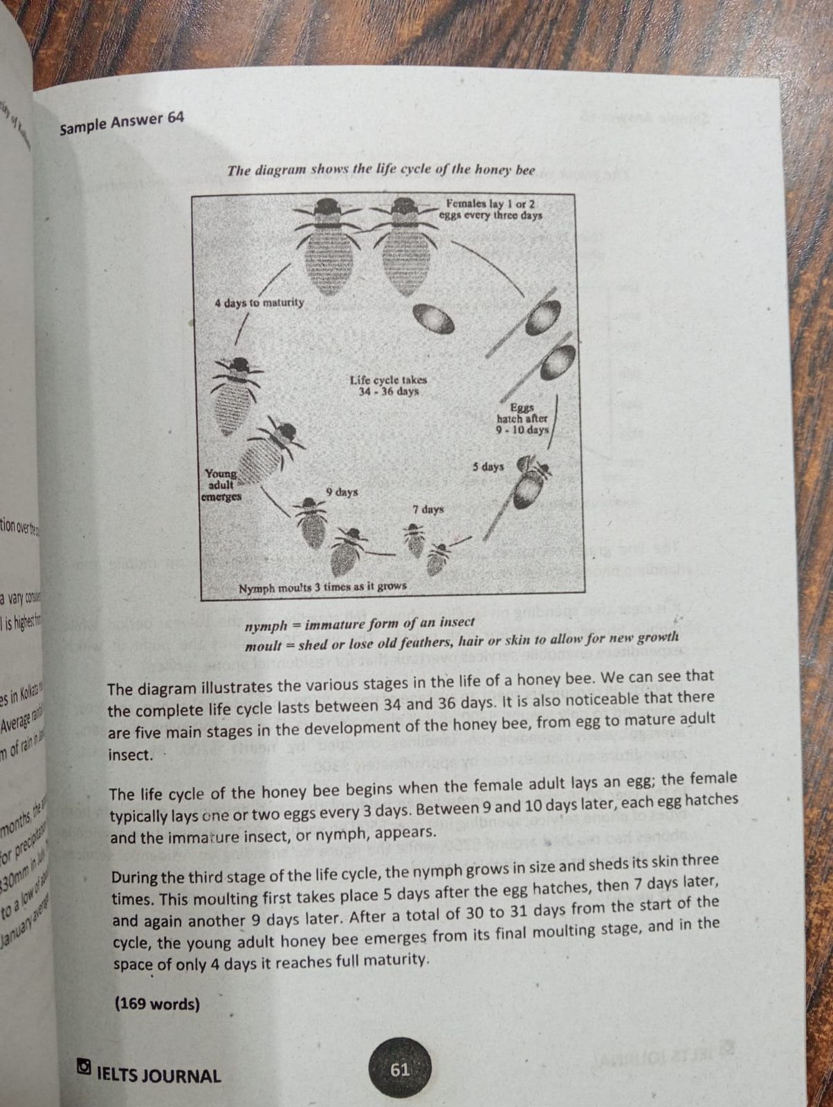 Picture of IELTS Journal Writing Task 2
