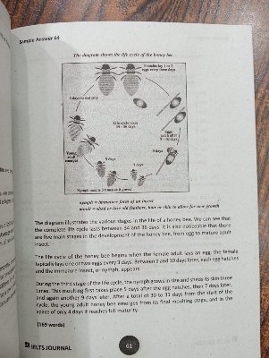 Picture of IELTS Journal Writing Task 2