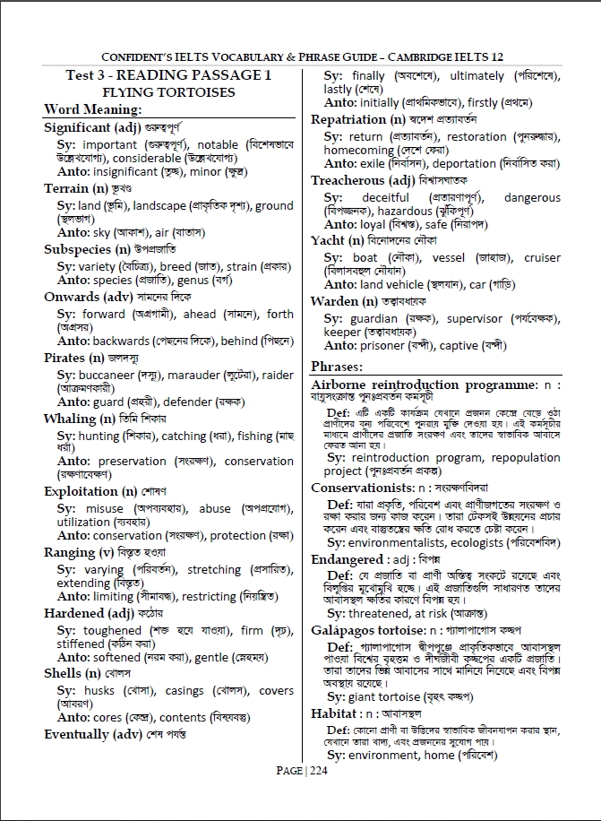 Picture of Cambridge IELTS Vocabulary and Phrases Guide