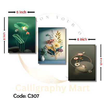 Picture of 3 pcs Most Unique Combo Wallmate set for Home Decoration. Wall Decoration for Home and Office Multicolor