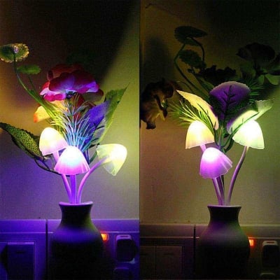 Picture of Mushroom Style Dim LED Light | MNK SHOP (Black)