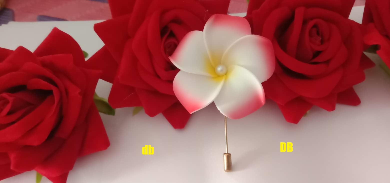 Picture of Hijab pin Niqabi Lovers Hijab pin