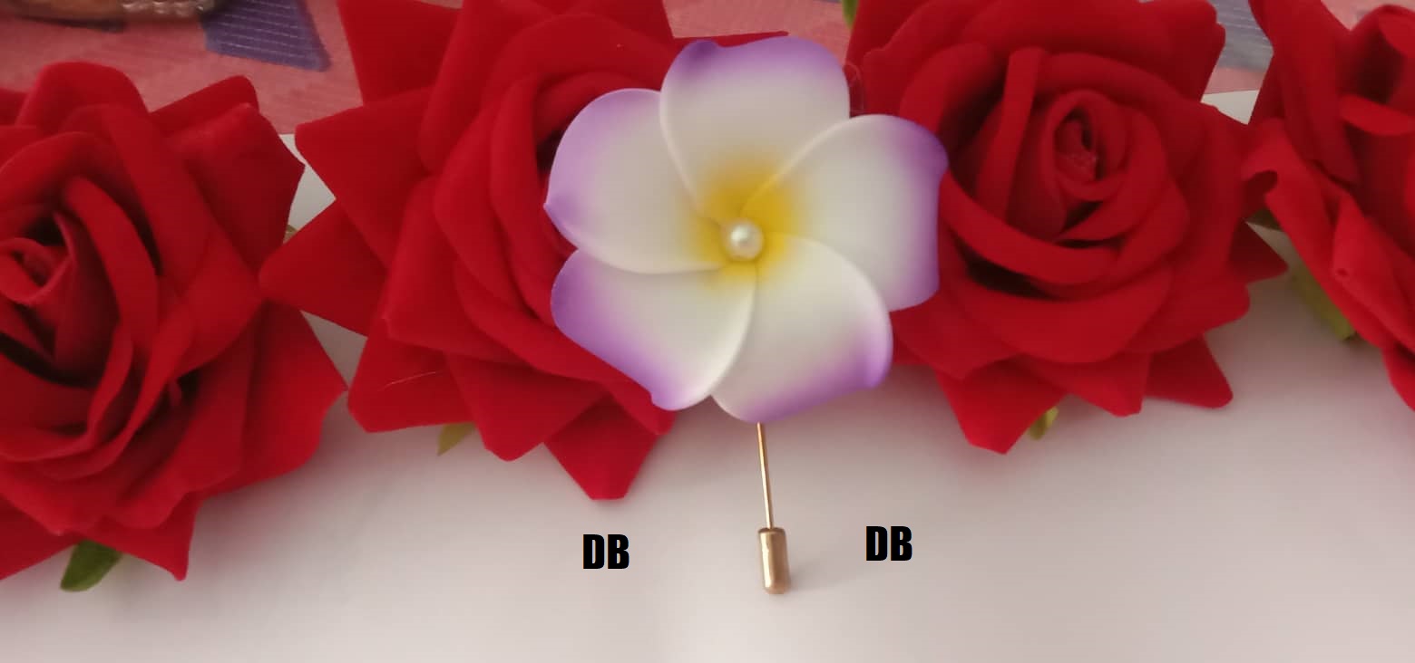 Picture of Hijab pin Niqabi Lovers Hijab pin
