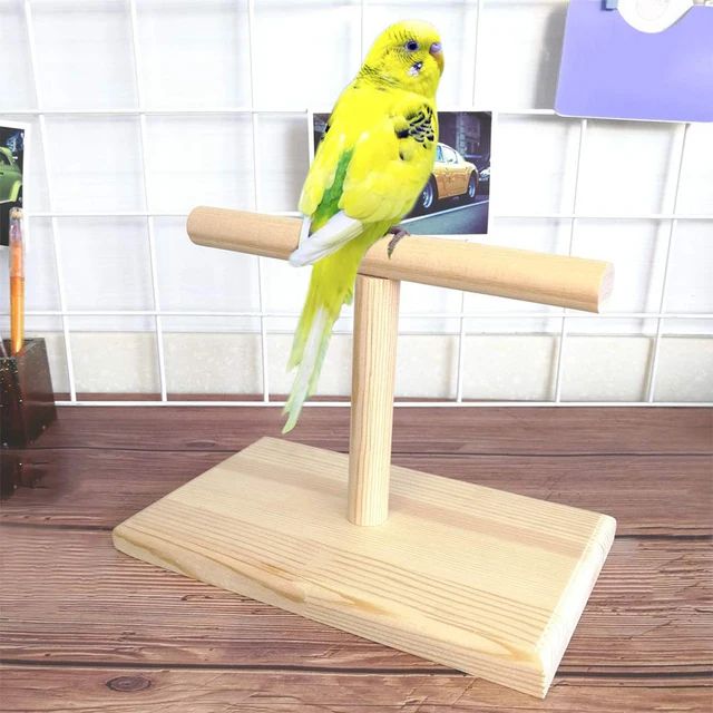 Picture of wooden pet bird stand T stand perch 1 pcs - Multicolor