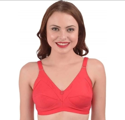 Picture of 1 peace export quality suti bra - Multicolor