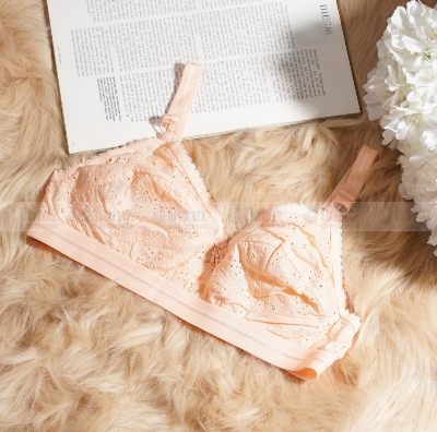 Picture of 2 peace 2 color  premium quality indian original chicken bra for girl/women