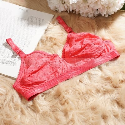 Picture of 4 Pieces Indian Like me Chicken Bra Soft Comfortable Bra for women - Multicolor