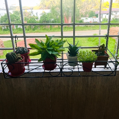 Picture of Metal Grill Rack Hanging Planter Pot 24x8x4 inches -1 Pcs. (Black)