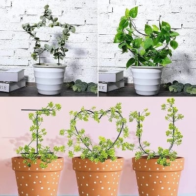Picture of Creative Metal Garden Trellis for Climbing Plants, Black Coating Rust-Proof Potted Plants Climbing Holder Rack, Plants Support Used for Garden Stem Vine Creeping Decoration (Black)