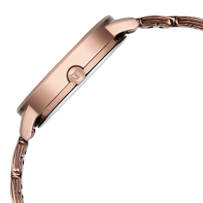 Picture of Titan Razzle Dazzle Quartz Analog Pink Dial Brown Stainless Steel Strap Watch For Women