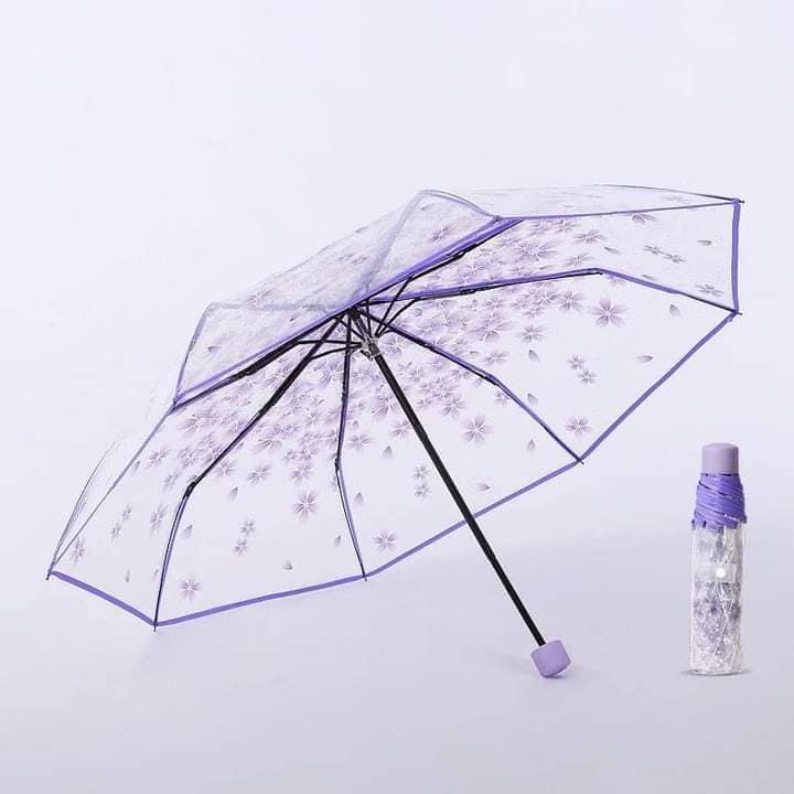 Picture of Cherry Blossom Korean Version Three Fold Transparent Umbrella - Multicolor,Int: One size