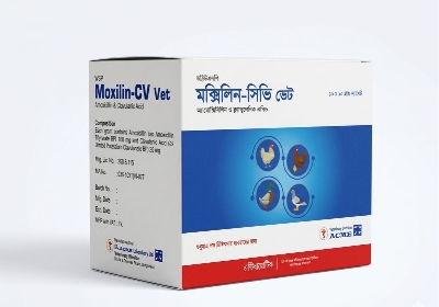 Picture of Moxilin-CV Vet (10x10gm) Amoxicillin & Clavulanic Acid Powder