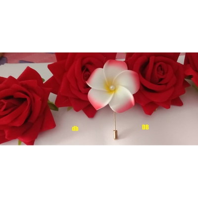 Picture of Hijab pin Niqabi Lovers Hijab pin