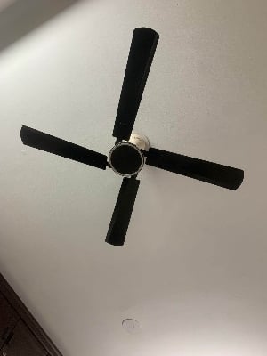Picture of Conion 56" 4 Blades Signature Ceiling Fan Oxide Black