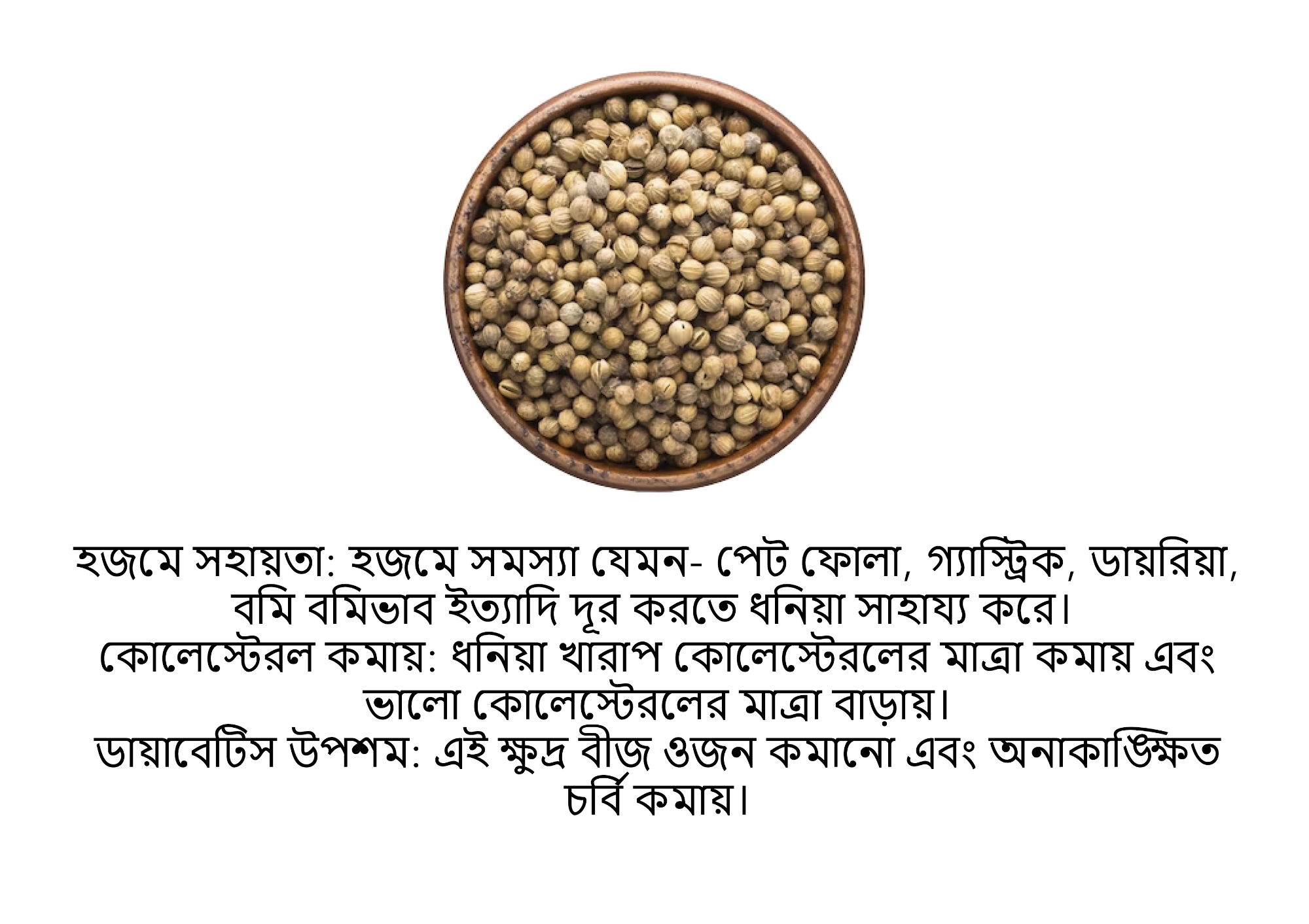 Picture of Coriander Whole(Dhonia) 100gm