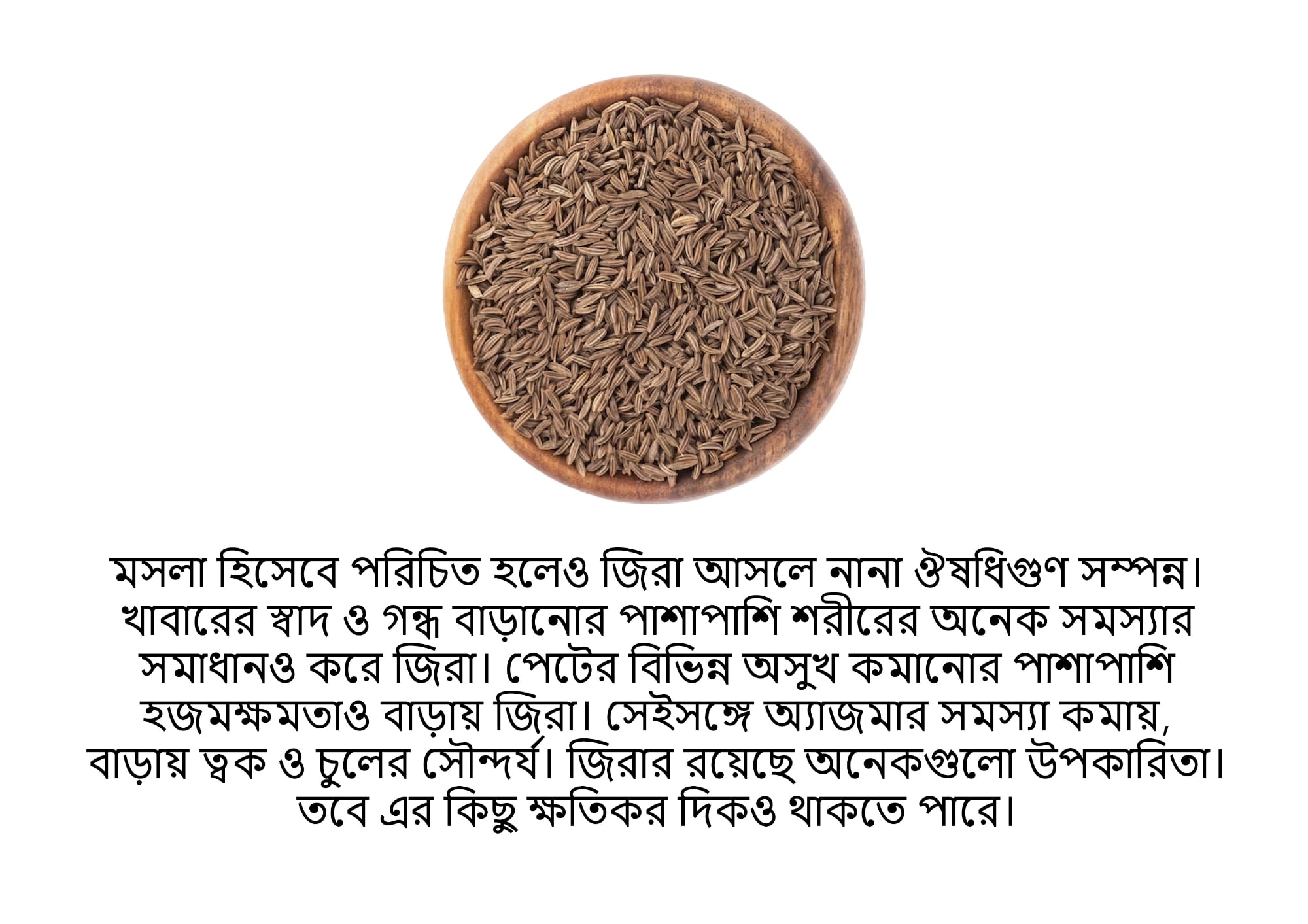 Picture of Premium Special Cumin (jeera) 100gm