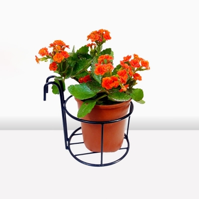 Picture of 1 PC 6 Inch Round Planter Stand Flower Pot Stand For Balcony Living Room Outdoor Indoor Grill Rack(Multicolor)