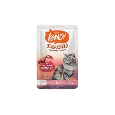 Picture of 1 PC Kandy Cat Wet Food Immune Formula 70g(70 gm,)