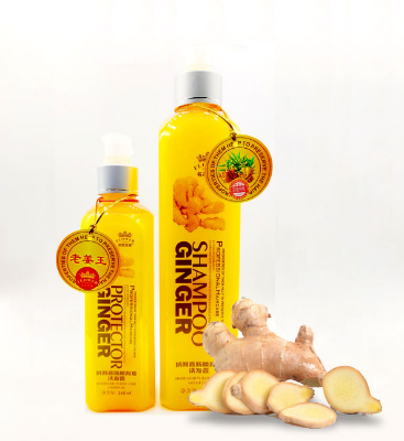 Picture of Protector Ginger Shampoo -260ml
