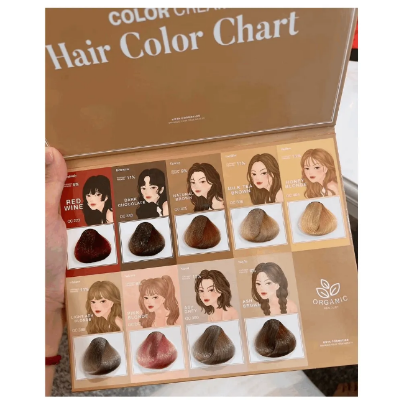 Picture of KOTA Color Cream Organic Hair Color Hair Dye Natural Korean Ginseng 12 Shade New