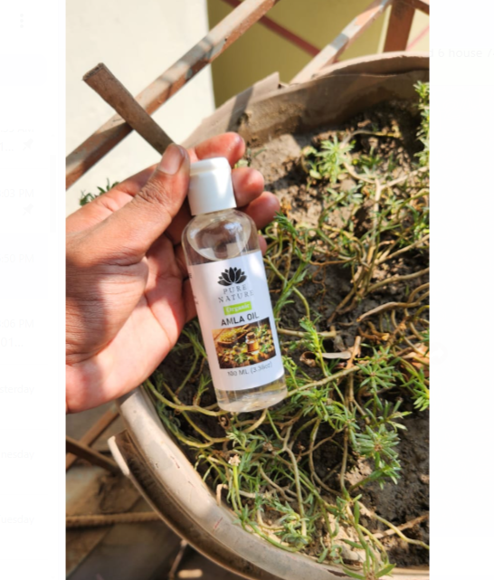 Picture of Pure Nature Amla Oil for Hair Home Made