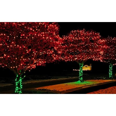 Picture of Fairy Decorative Light 100 Led- Weeding Festival Party 30- 33 Feets water proof Led Light. - Room Decoration Light Red