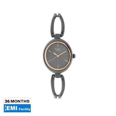 Picture of Titan Raga Viva Grey Dial Analog Watch for Women