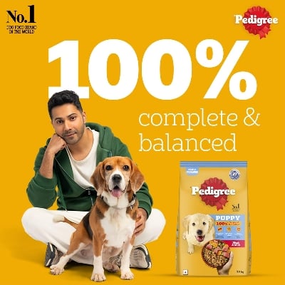 Picture of Pedigree Puppy Dry Dog Food 20kg Pack, Made in Thailand