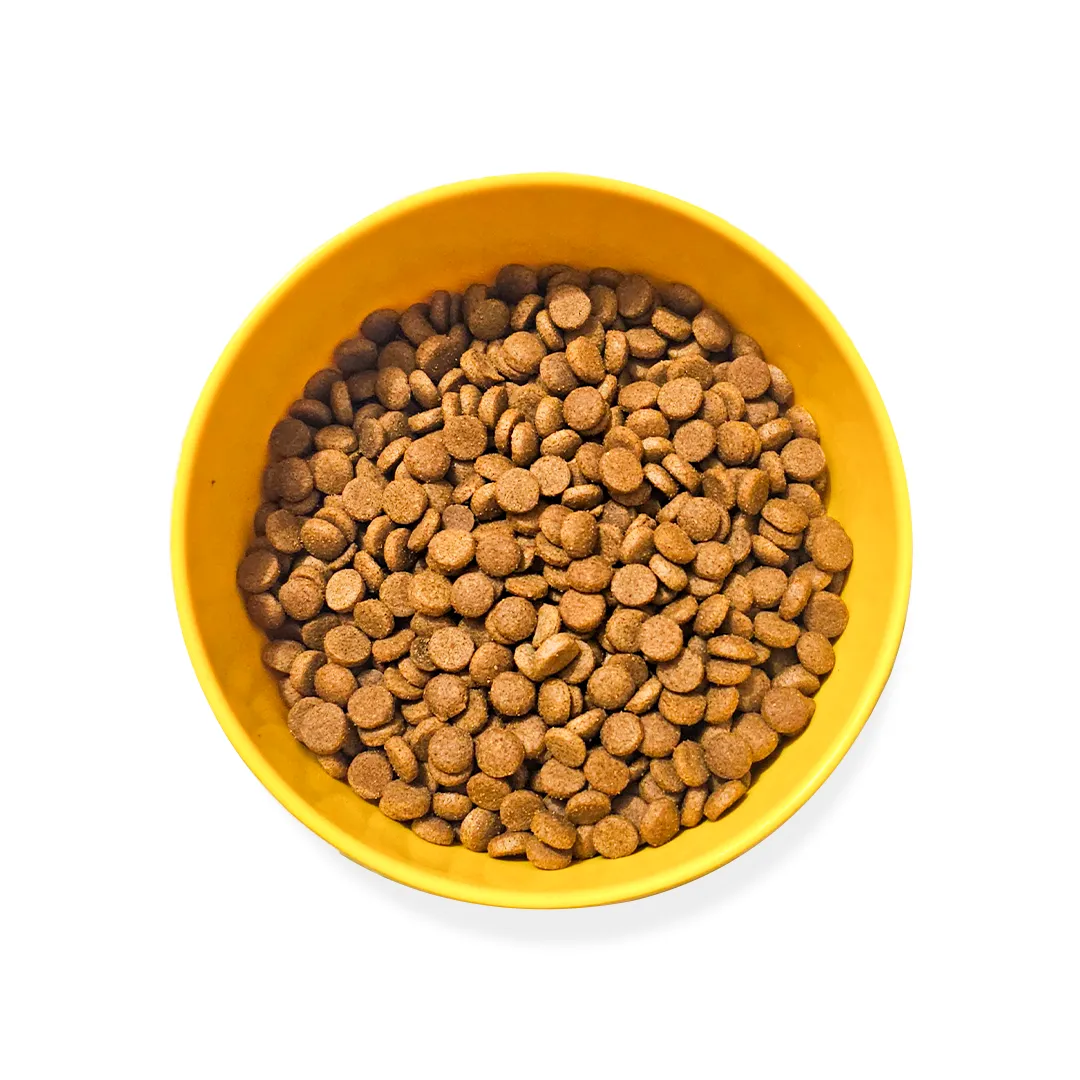 Picture of Chonk All Ages Cat Food (Ocean Fish with Chicken) 15 KG GigaChonk