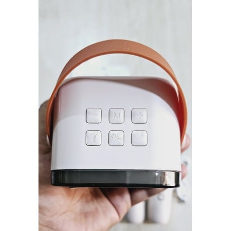 Picture of K12 RGB Karaoke Bluetooth Speaker with Two Microphone Multicolor