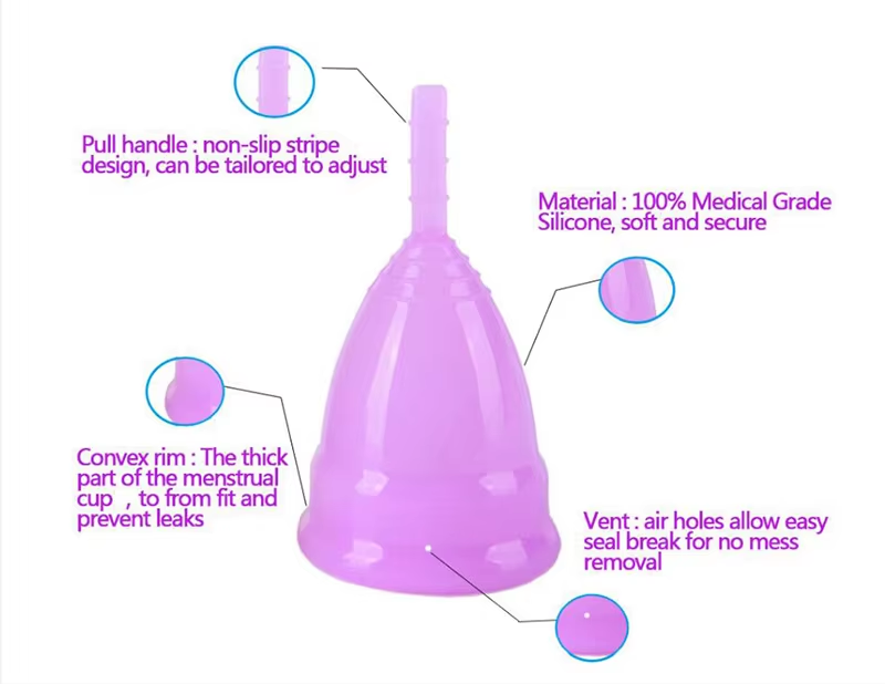 Picture of iCare Collapsible 100% Medical Silicone Foldable Reusable Organic Menstrual Cup for Women | Pink | 12 ML | 30 ML | Small Size | Large Size | Pad
