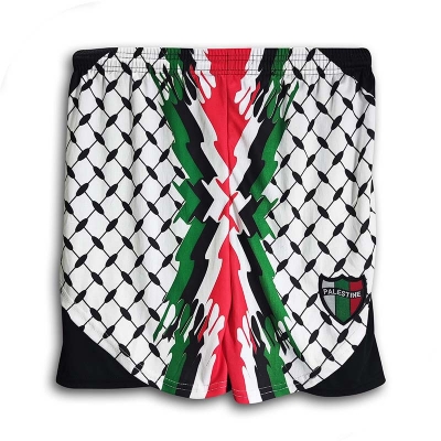 Picture of Palestine Short Pants for Men - Club Football Short Pants - Palestine Pant