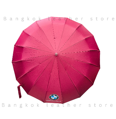 Picture of BMW Premium 16 Ribs Foldable Umbrella for Men & Women – Windproof, Leakproof, Strong Metal Frame, Compact Travel Rain Umbrella