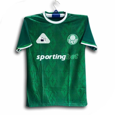 Picture of Palmeiras Short Sleeve Football Jersey For Man - Half Sleeve Jersey - Palmeiras Jersey 2026