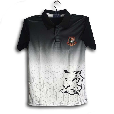 Picture of Bangladesh Training Short sleeve Collar polo Cricket Jersey For Men - Half Sleeve Polo - Bangladesh Cricket Training Jersey