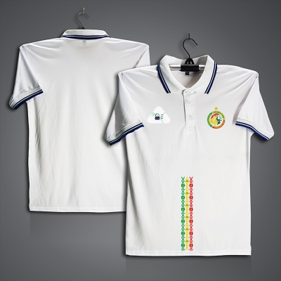 Picture of Senegal Football Jersey For Men - Half Sleeve Collar Polo t shirt - Senegal Fan Jersey