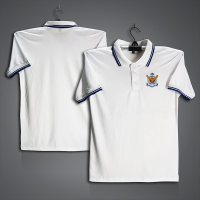 Picture of Bangladesh Air Force Jersey For Men - Half Sleeve Collar Polo t shirt - Air Force t shirt