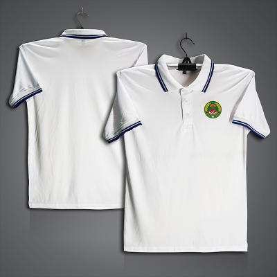 Picture of Bangladesh Ansar Jersey For Men - Half Sleeve Collar Polo t shirt - ANSAR t shirt